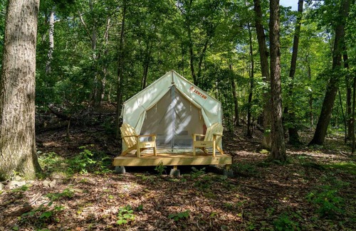 Staatsburg Other | Tentrr State Park Site - Mills Norrie State Park Site E