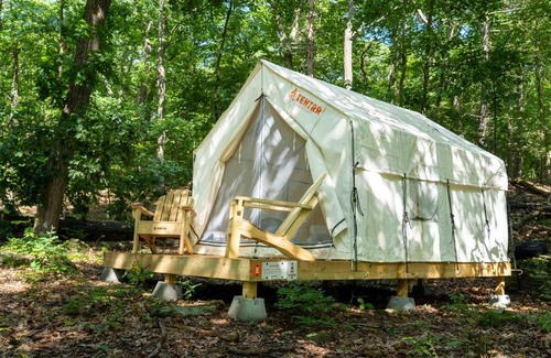 Staatsburg Other | Tentrr State Park Site - Mills Norrie State Park Site E