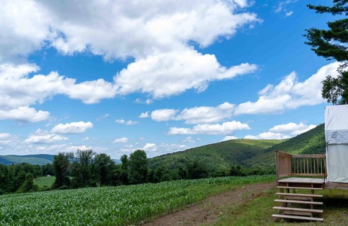 Copake Falls RV Rental | Tentrr State Park Site - NY Taconic State Park: High Valley Rd Site B