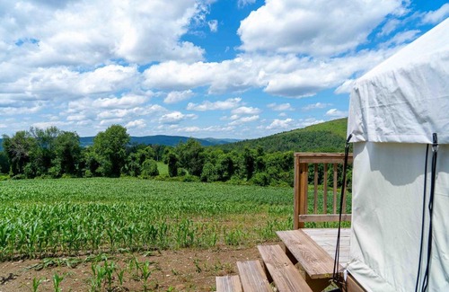 Copake Falls Other | Tentrr State Park Site - Taconic State Park High Valley Rd Site A