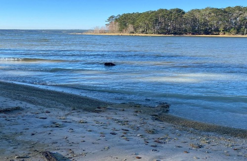 Anacoco RV Rental | Tentrr State Park Site - Louisiana South Toledo Bend State Park - Site C - Sing