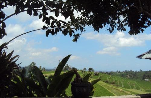 Penebel House | Teras Subak Jatiluwih