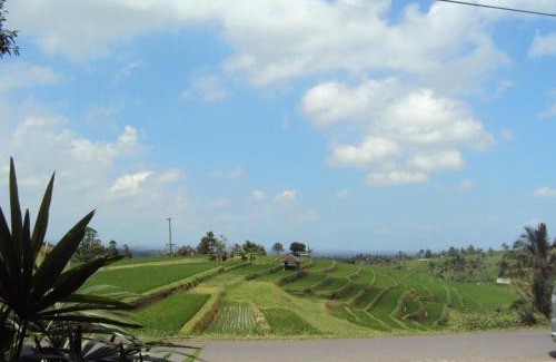 Penebel House | Teras Subak Jatiluwih