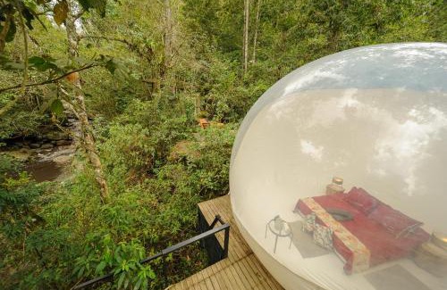 San Francisco Other | TERRAMAGA glamping