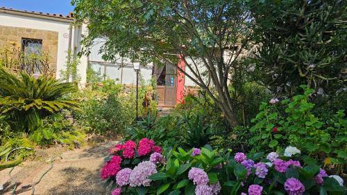 Ustica Bed & Breakfast | Terranova