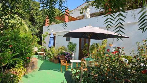 Ustica Bed & Breakfast | Terranova