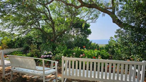Ustica Bed & Breakfast | Terranova