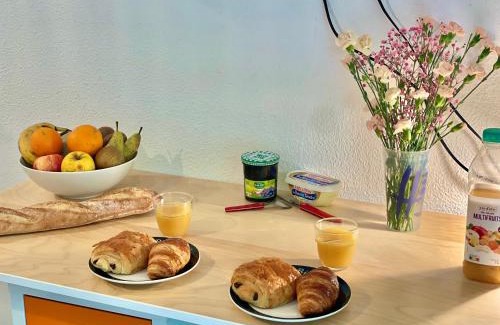 Rangueil-Sauzelong-Pech David-Pouvourville Apartment | " Terrasse Téléo " Hôpital Rangueil - Pech David