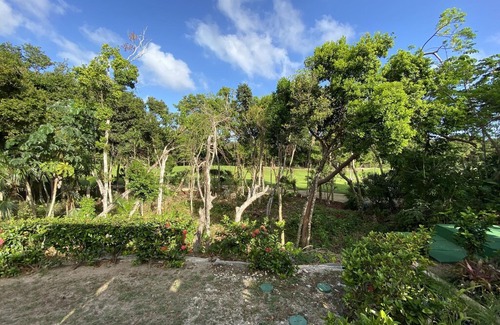 Akumal Apartment | Terrazas C15 - 3BD in Akumal