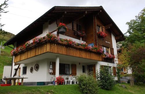 Sedrun Apartment | Tgèsa Parde
