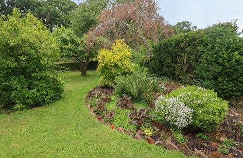 Buckland Newton Cottage | Thatch Cottage