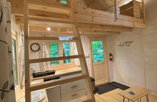 Faraday Cabin | The Albion - A Cabin Nestled in Nature
