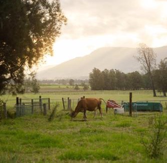 Far Meadow House | The Antidote Luxe Off-Grid Tiny Home Escape on Private Farm Stay