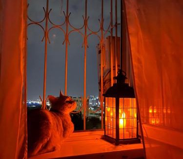 Tashkent Apartment | The Artists Nest
