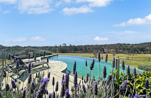 Lovedale House | The Ballabourneen House - Grand Hunter Valley homestead - 4 bedrooms with infinity pool and open fireplace