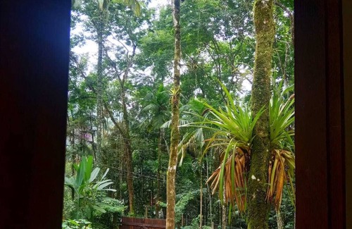 Penedo House | The beautiful forest house
