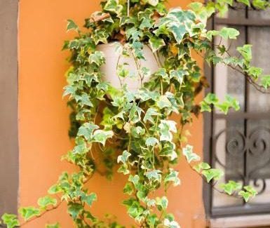 Trastevere Apartment | The Best Nest