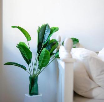 Downtown George Town Hotel | The Bibik at 8 Clarke -NEW Entire #Unesco #HeritageHome