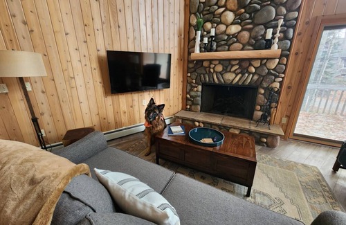 Harbor Springs Ski Chalet | The Black & Tan Chalet - modern comfort for your group near Nubs & Highlands