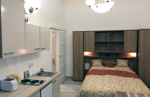 Nepszinhaz negyed Apartment | The Blaha Studio Apartment with AC