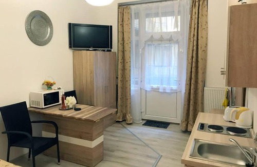 Nepszinhaz negyed Apartment | The Blaha Studio Apartment with AC