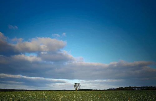 East Linton House | The Bonnie Wee Bothy