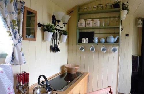 Hallington House | The Buteland Stop Rosie off grid Shepherds Hut
