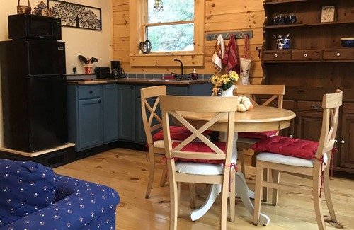 Lookout Mountain Ski Chalet | The Cabin at Wayside - a new cozy get-away!