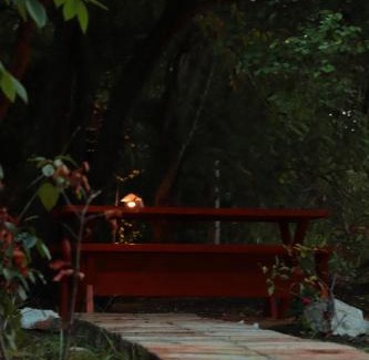Sigiriya House | The Cattleya Guest House Sigiriya