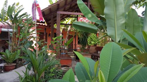 Lubok Buaya Hotel | the coconut langkawi