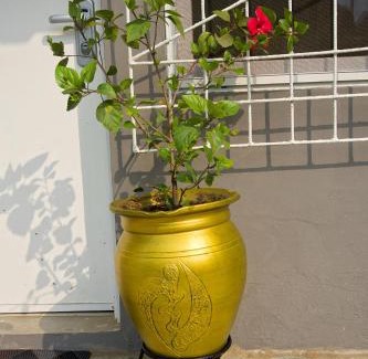 Sekondi-Takoradi House | The Cool Villa Guest House