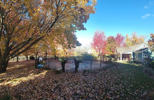 Leesburg Cottage | The Cottage at Firefly Cellars, cozy getaway in Loudoun wine country!