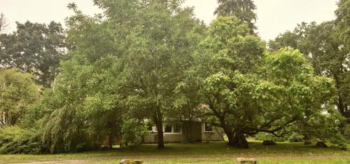 Winsen House | The Cottages