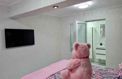Willemstad Apartment | The Curaçao Hideaway