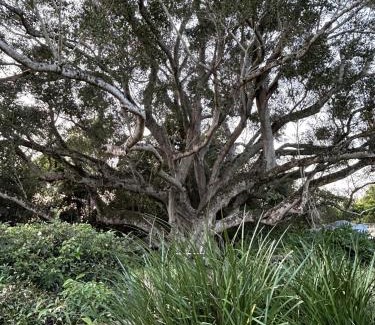 Eumundi House | The Dairy character-filled farm stay