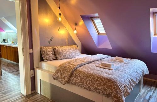 Petrska ctvrt Apartment | The Dragonfly Residence