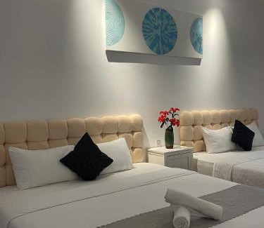 Hue House | The Dreamers Homestay
