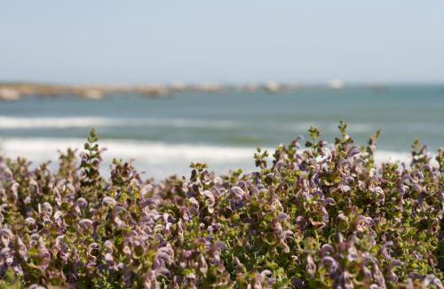 Paternoster Apartment | The Future