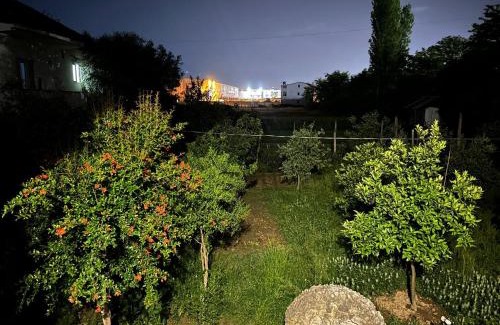 Tirana House | The Garden