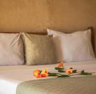 Paje Hotel | The Garden