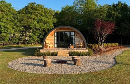 Wellesbourne Other | The Goose In The Woods