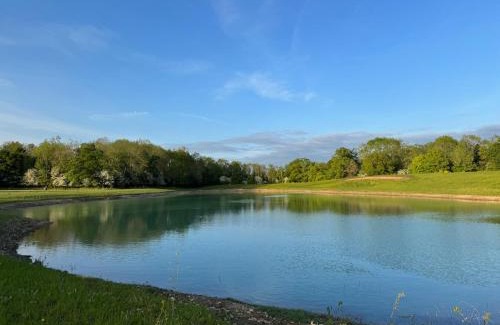 Wellesbourne Other | The Goose In The Woods