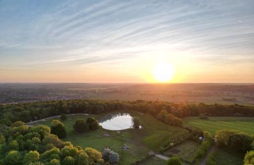 Wellesbourne Other | The Goose In The Woods