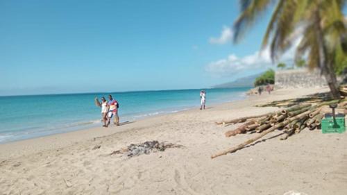 Morant Bay Apartment | The Grand Begonia Beach Hotel