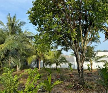 Chau Thanh House | The Grand Coco Homestay