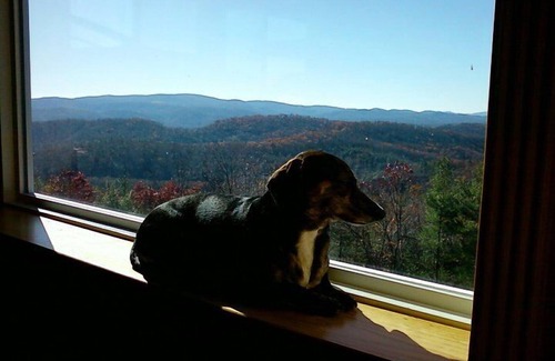 Fleetwood Cabin | 'The Great Escape'-Panoramic Views-Hot Tub-WiFi-Pets OK-Private-Booking Fast