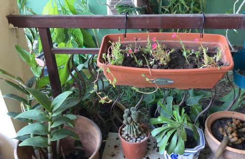 Labone Apartment | The Green House, Labone