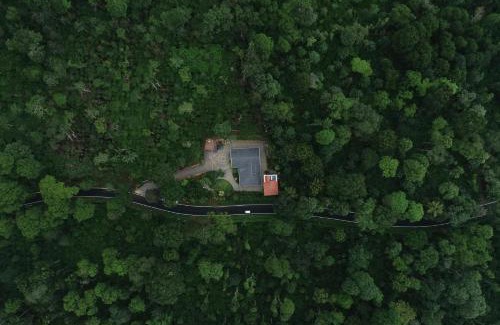 Virarajendrapet Villa | The Haven Grandeur - Experience Luxury at its Best - Coorg