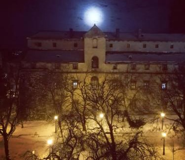 Lviv City Center Apartment | The heart of Lviv