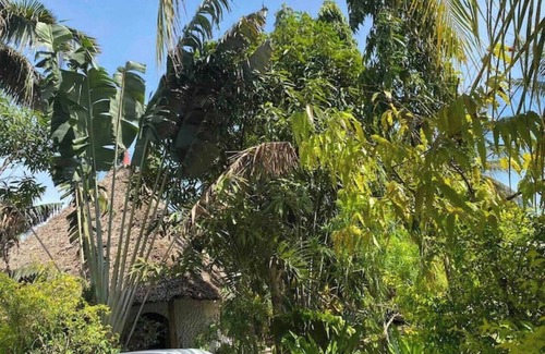 Mtwapa Villa | "the Hidden Villa Jane